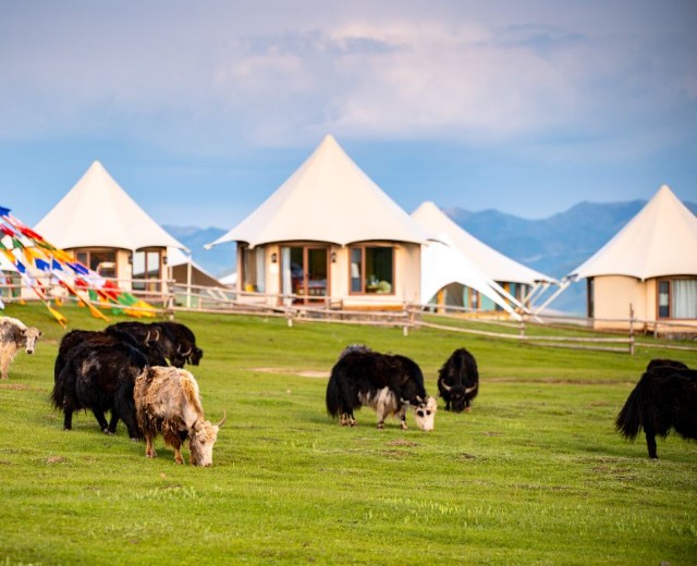 Amigonghong Ranch Tent Hotel